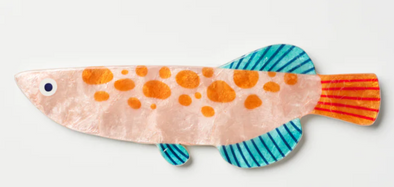 Salmon Fish